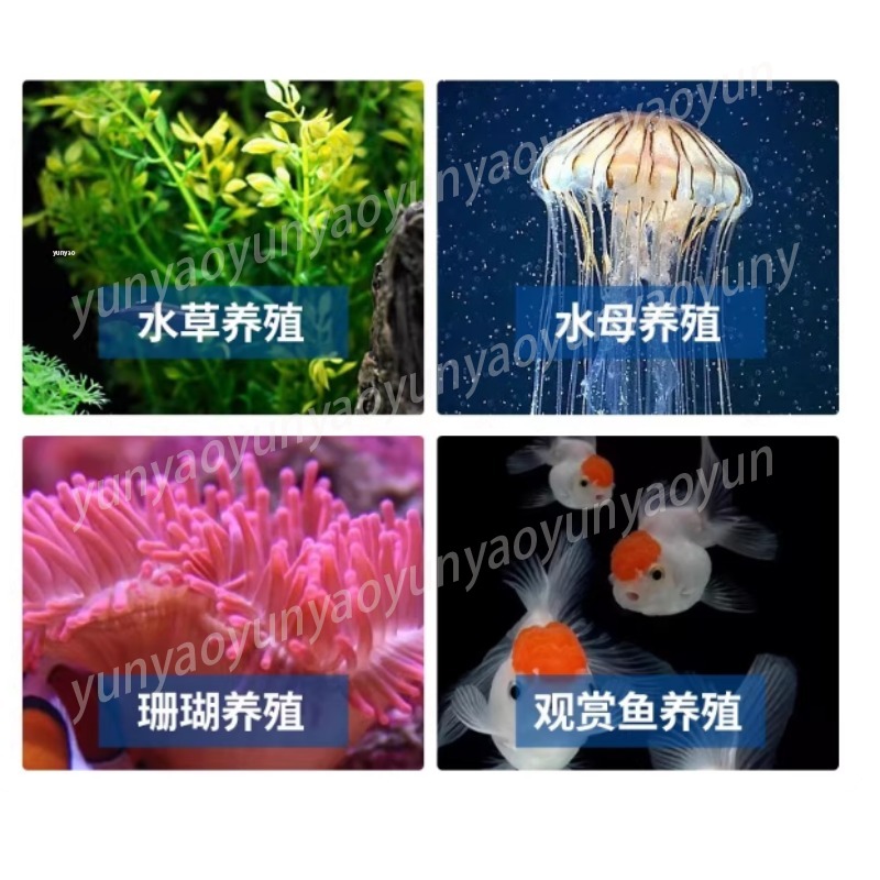 เครื่องทำความเย็นตู้ปลาขนาดเล็ - Marine Aquarium Chiller บทวิจารณ์และราคา