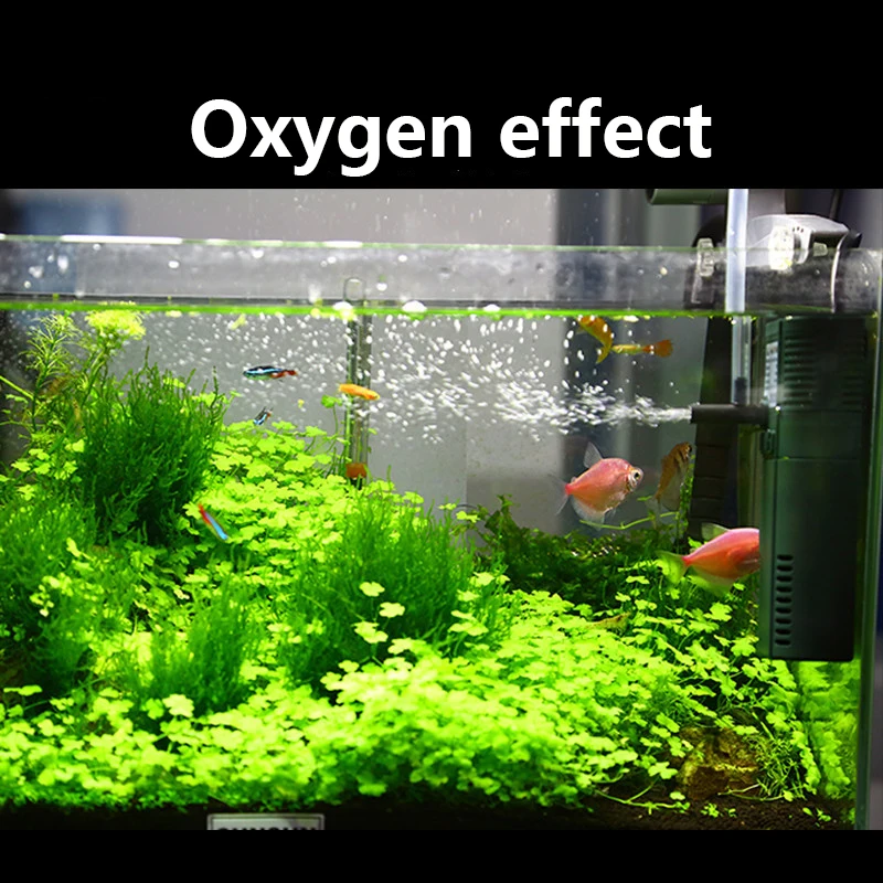 Sunsun 311B 111B ขนาดเล็กนาโน6 - Marine Aquarium Chiller บทวิจารณ์และราคา